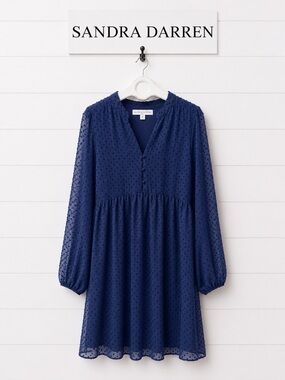 SANDRA DARREN Blue Swiss Dot Dress Size 18W